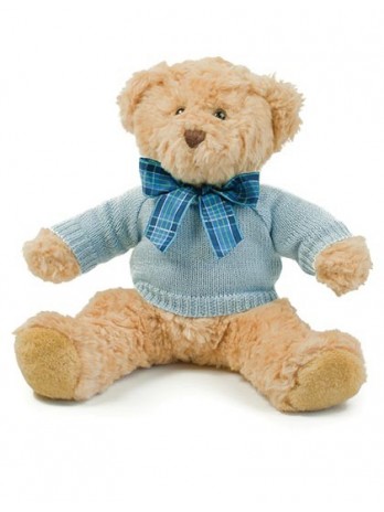 Teddy Jumper