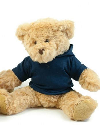 Teddy Hoodie