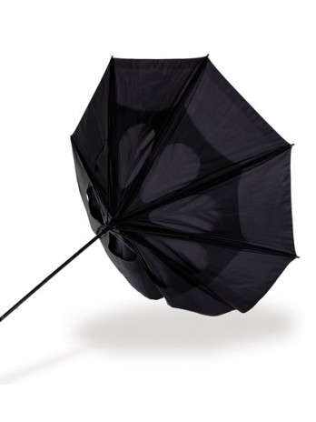 Umbrella Sheffield