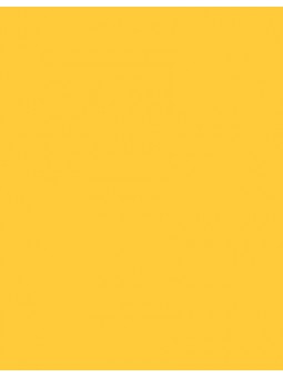 Polyneon 40 (5.000 m)