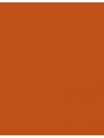 Polyneon 60 (1.500 m)