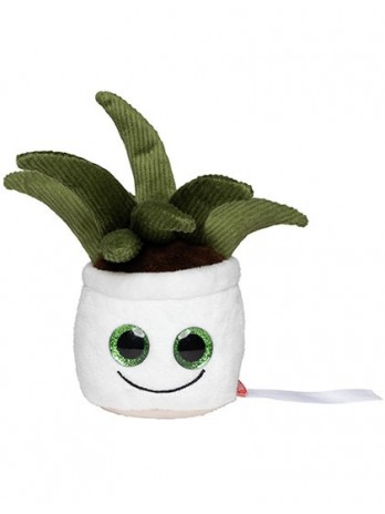 Schmoozies® Evergreenies® Aloe Vera