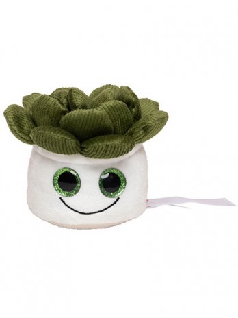 Schmoozies® Evergreenies® Succulent